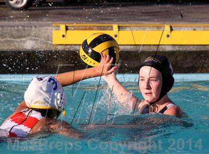 Thumbnail 2 in San Pasqual @ El Camino photogallery.
