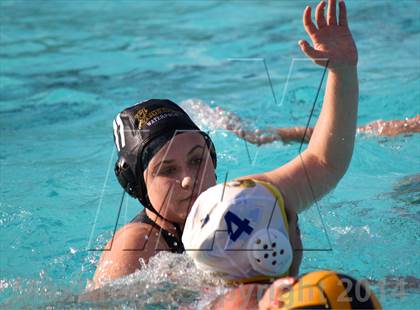 Thumbnail 1 in San Pasqual @ El Camino photogallery.