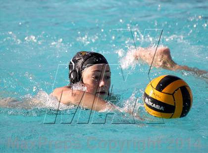 Thumbnail 1 in San Pasqual @ El Camino photogallery.