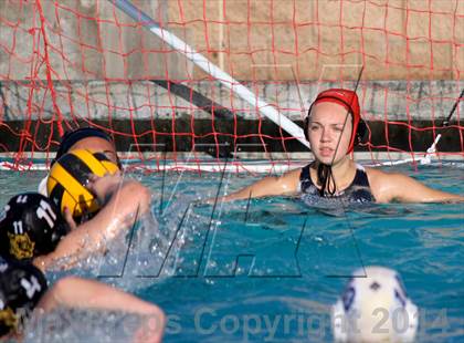 Thumbnail 3 in San Pasqual @ El Camino photogallery.