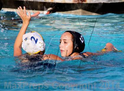 Thumbnail 3 in San Pasqual @ El Camino photogallery.
