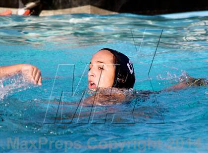 Thumbnail 3 in San Pasqual @ El Camino photogallery.