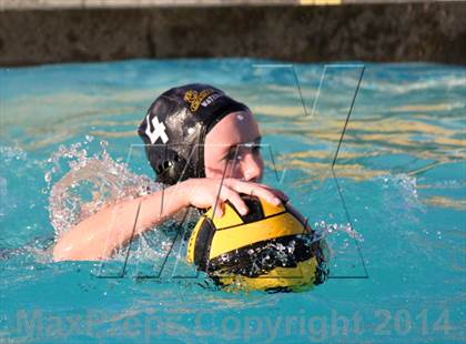 Thumbnail 3 in San Pasqual @ El Camino photogallery.