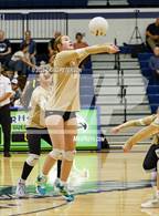 Photo from the gallery "Logan @ Ridgeline"