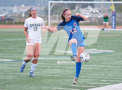 Thumbnail 2 in Urban @ Tamalpais photogallery.