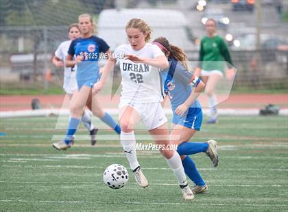 Thumbnail 3 in Urban @ Tamalpais photogallery.