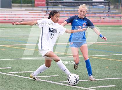 Thumbnail 3 in Urban @ Tamalpais photogallery.