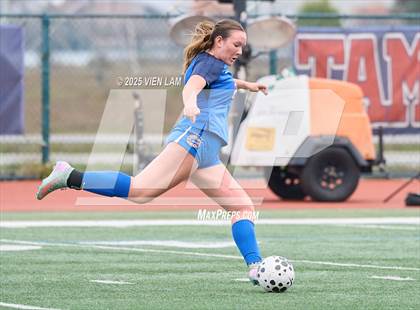 Thumbnail 1 in Urban @ Tamalpais photogallery.