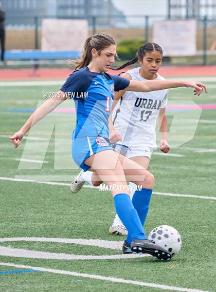 Thumbnail 1 in Urban @ Tamalpais photogallery.