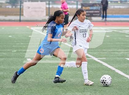 Thumbnail 2 in Urban @ Tamalpais photogallery.