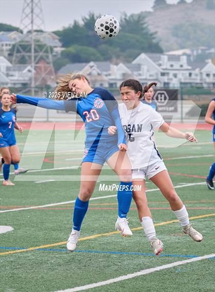 Thumbnail 3 in Urban @ Tamalpais photogallery.