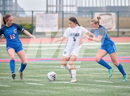 Thumbnail 1 in Urban @ Tamalpais photogallery.