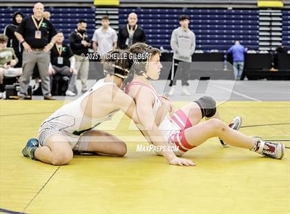Thumbnail 2 in NYSPHSAA Wrestling Dual Finals D1 (Minisink Valley vs Farmingdale) photogallery.