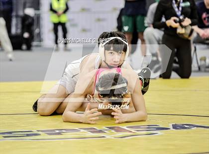 Thumbnail 1 in NYSPHSAA Wrestling Dual Finals D1 (Minisink Valley vs Farmingdale) photogallery.