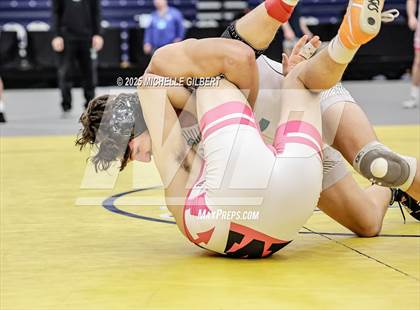 Thumbnail 2 in NYSPHSAA Wrestling Dual Finals D1 (Minisink Valley vs Farmingdale) photogallery.