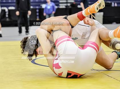 Thumbnail 1 in NYSPHSAA Wrestling Dual Finals D1 (Minisink Valley vs Farmingdale) photogallery.