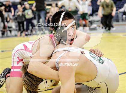 Thumbnail 1 in NYSPHSAA Wrestling Dual Finals D1 (Minisink Valley vs Farmingdale) photogallery.