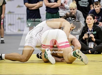 Thumbnail 2 in NYSPHSAA Wrestling Dual Finals D1 (Minisink Valley vs Farmingdale) photogallery.