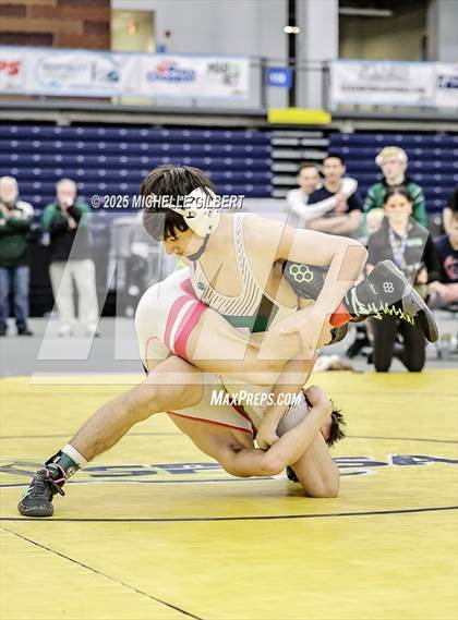 Thumbnail 1 in NYSPHSAA Wrestling Dual Finals D1 (Minisink Valley vs Farmingdale) photogallery.