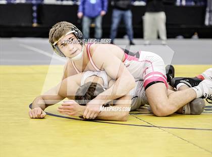 Thumbnail 1 in NYSPHSAA Wrestling Dual Finals D1 (Minisink Valley vs Farmingdale) photogallery.