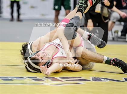 Thumbnail 2 in NYSPHSAA Wrestling Dual Finals D1 (Minisink Valley vs Farmingdale) photogallery.