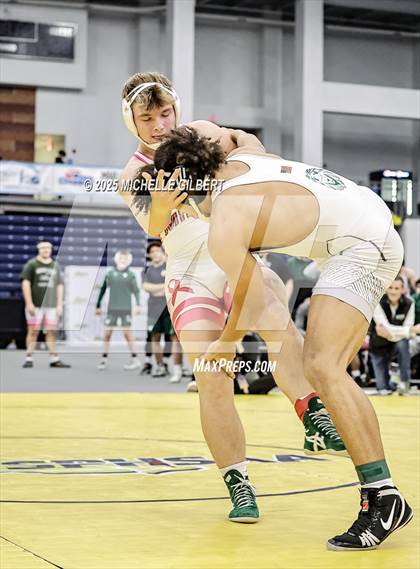 Thumbnail 1 in NYSPHSAA Wrestling Dual Finals D1 (Minisink Valley vs Farmingdale) photogallery.
