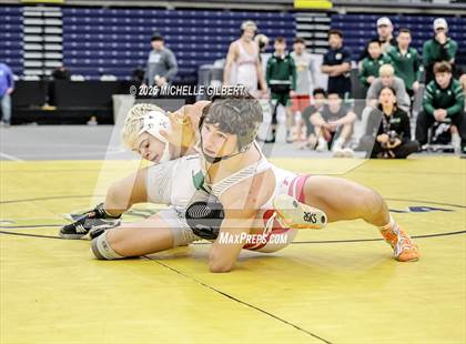 Thumbnail 1 in NYSPHSAA Wrestling Dual Finals D1 (Minisink Valley vs Farmingdale) photogallery.