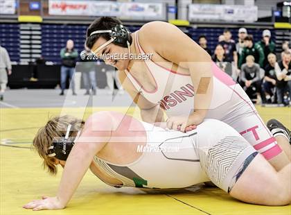 Thumbnail 1 in NYSPHSAA Wrestling Dual Finals D1 (Minisink Valley vs Farmingdale) photogallery.