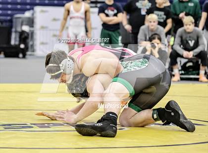Thumbnail 1 in NYSPHSAA Wrestling Dual Finals D1 (Minisink Valley vs Farmingdale) photogallery.