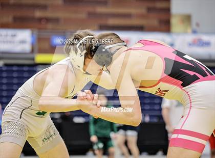 Thumbnail 3 in NYSPHSAA Wrestling Dual Finals D1 (Minisink Valley vs Farmingdale) photogallery.