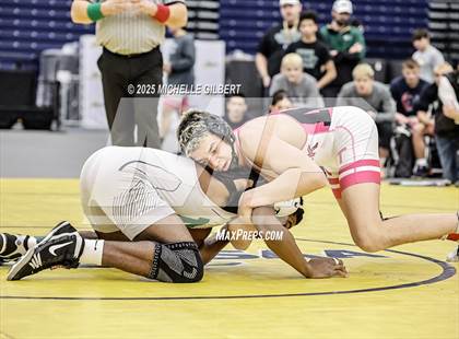 Thumbnail 1 in NYSPHSAA Wrestling Dual Finals D1 (Minisink Valley vs Farmingdale) photogallery.