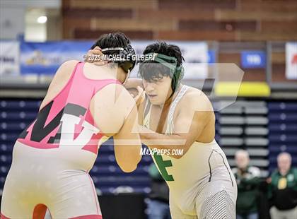 Thumbnail 2 in NYSPHSAA Wrestling Dual Finals D1 (Minisink Valley vs Farmingdale) photogallery.