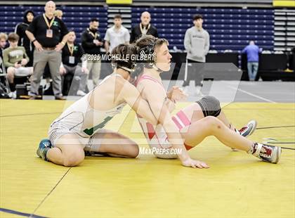 Thumbnail 3 in NYSPHSAA Wrestling Dual Finals D1 (Minisink Valley vs Farmingdale) photogallery.