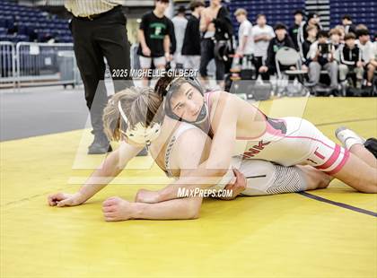 Thumbnail 1 in NYSPHSAA Wrestling Dual Finals D1 (Minisink Valley vs Farmingdale) photogallery.
