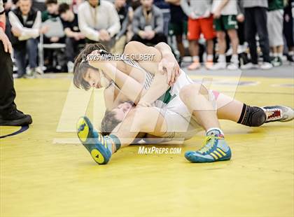 Thumbnail 1 in NYSPHSAA Wrestling Dual Finals D1 (Minisink Valley vs Farmingdale) photogallery.