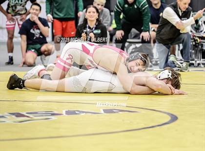 Thumbnail 2 in NYSPHSAA Wrestling Dual Finals D1 (Minisink Valley vs Farmingdale) photogallery.