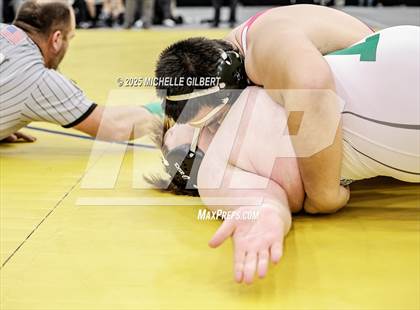 Thumbnail 2 in NYSPHSAA Wrestling Dual Finals D1 (Minisink Valley vs Farmingdale) photogallery.