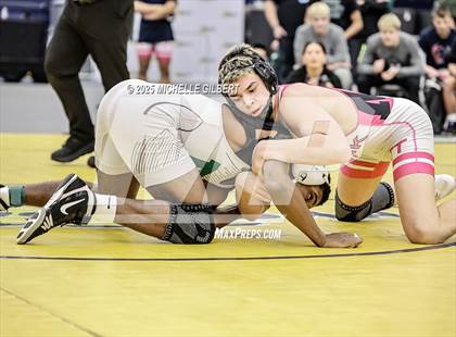 Thumbnail 2 in NYSPHSAA Wrestling Dual Finals D1 (Minisink Valley vs Farmingdale) photogallery.