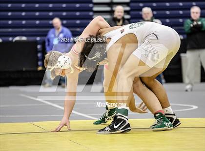 Thumbnail 1 in NYSPHSAA Wrestling Dual Finals D1 (Minisink Valley vs Farmingdale) photogallery.