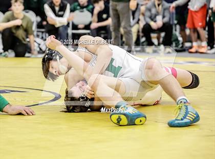 Thumbnail 2 in NYSPHSAA Wrestling Dual Finals D1 (Minisink Valley vs Farmingdale) photogallery.