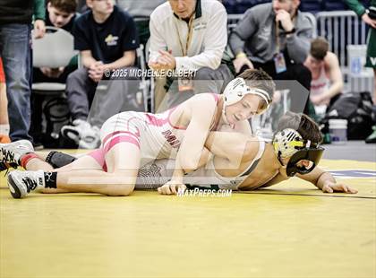 Thumbnail 2 in NYSPHSAA Wrestling Dual Finals D1 (Minisink Valley vs Farmingdale) photogallery.