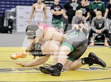 Thumbnail 3 in NYSPHSAA Wrestling Dual Finals D1 (Minisink Valley vs Farmingdale) photogallery.