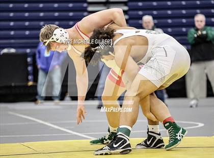 Thumbnail 2 in NYSPHSAA Wrestling Dual Finals D1 (Minisink Valley vs Farmingdale) photogallery.