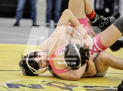 Thumbnail 2 in NYSPHSAA Wrestling Dual Finals D1 (Minisink Valley vs Farmingdale) photogallery.