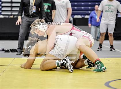 Thumbnail 1 in NYSPHSAA Wrestling Dual Finals D1 (Minisink Valley vs Farmingdale) photogallery.