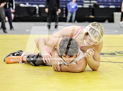 Thumbnail 1 in NYSPHSAA Wrestling Dual Finals D1 (Minisink Valley vs Farmingdale) photogallery.