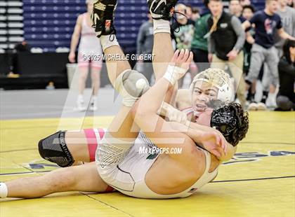 Thumbnail 1 in NYSPHSAA Wrestling Dual Finals D1 (Minisink Valley vs Farmingdale) photogallery.