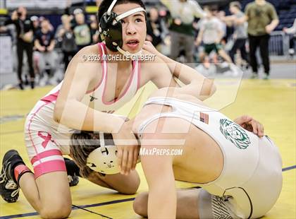 Thumbnail 2 in NYSPHSAA Wrestling Dual Finals D1 (Minisink Valley vs Farmingdale) photogallery.
