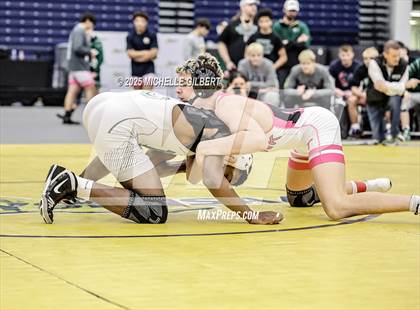 Thumbnail 3 in NYSPHSAA Wrestling Dual Finals D1 (Minisink Valley vs Farmingdale) photogallery.