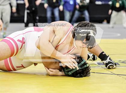 Thumbnail 1 in NYSPHSAA Wrestling Dual Finals D1 (Minisink Valley vs Farmingdale) photogallery.
